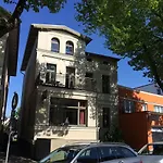Seevogel/lachmöwe Rostock