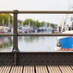 Seevogel/lachmöwe Rostock