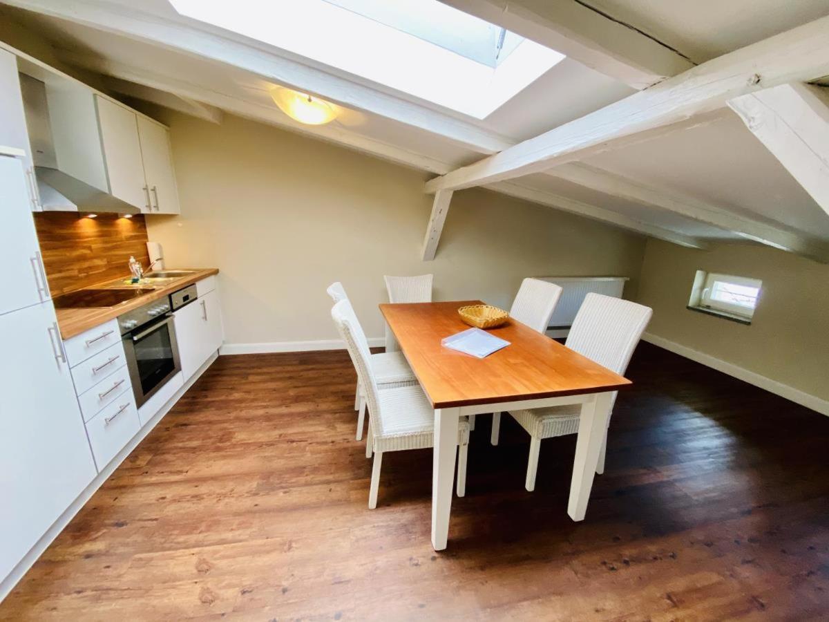 Seevogel/lachmöwe Apartment
