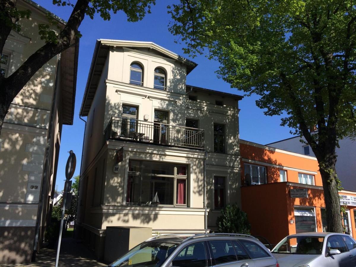 Seevogel/lachmoewe Rostock