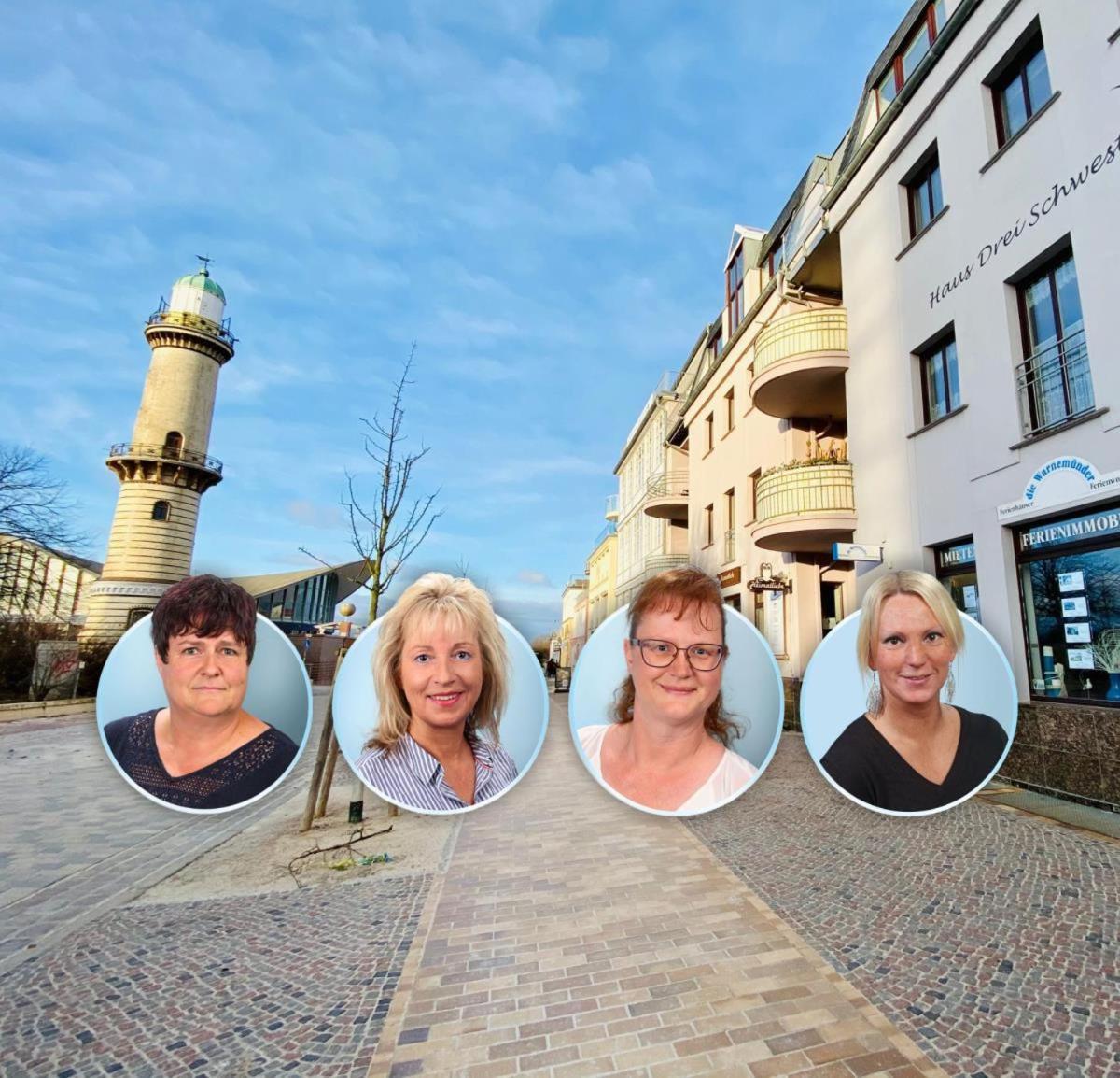 Seevogel/lachmöwe Rostock