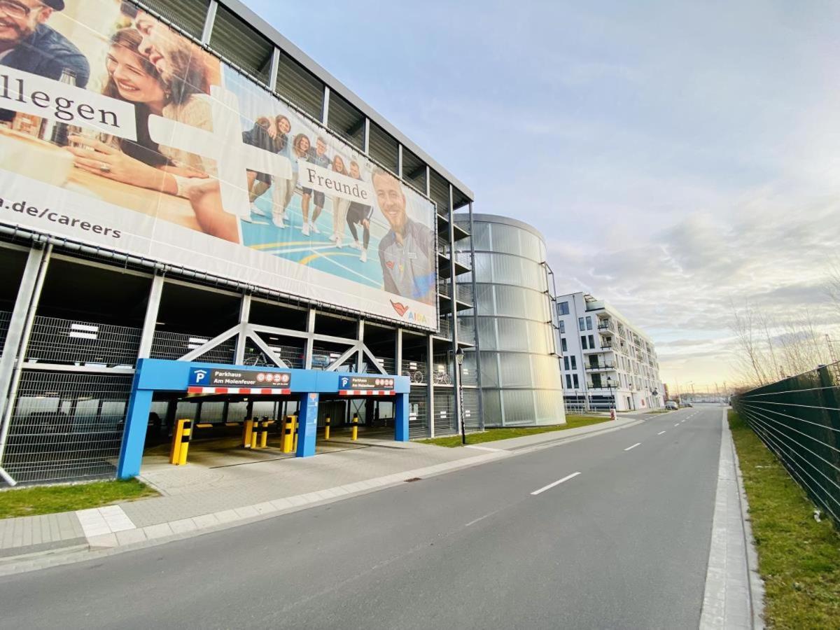 Seevogel/lachmöwe * Rostock