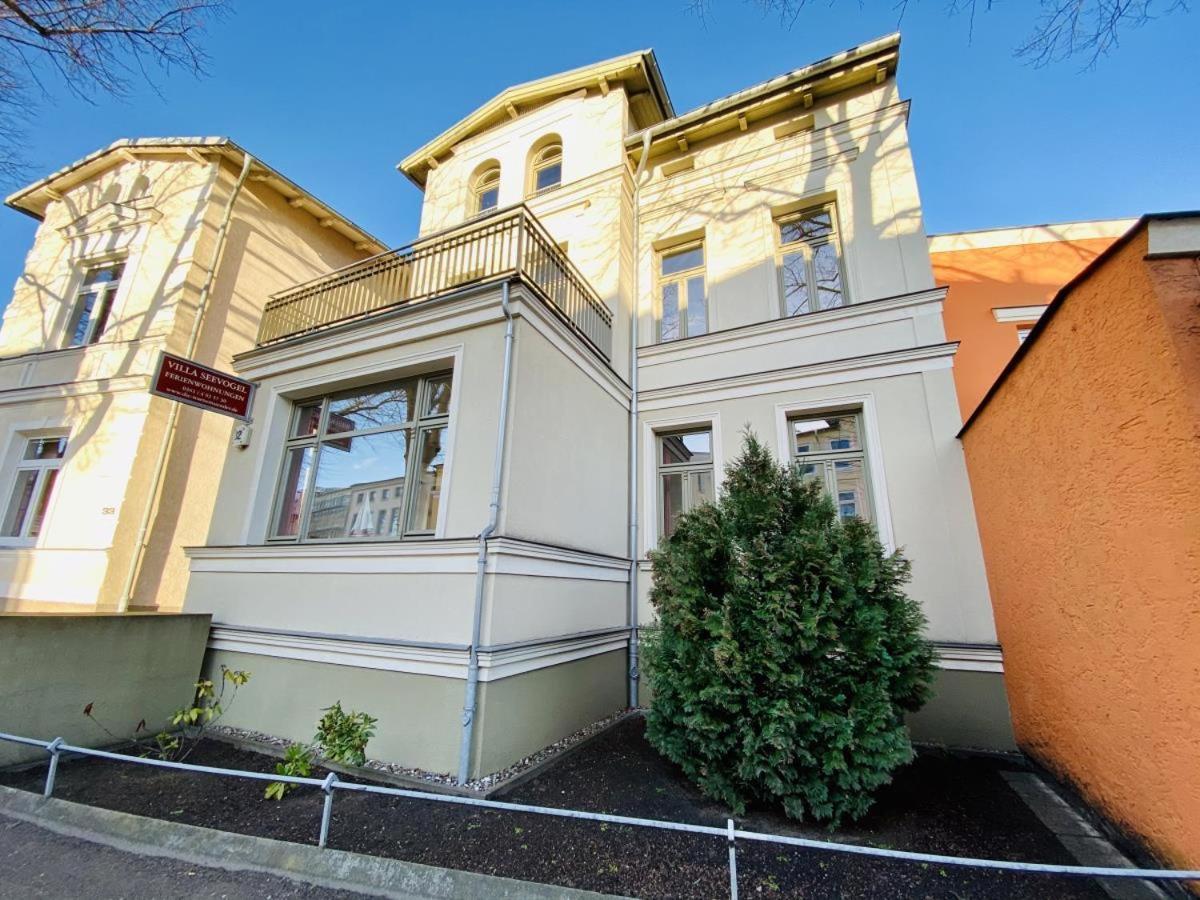 Seevogel/lachmöwe * Rostock