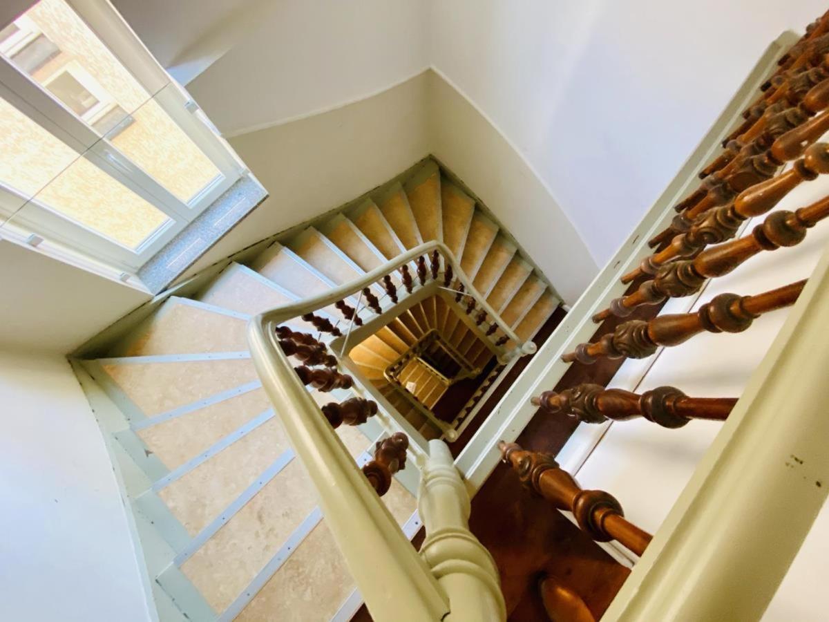 Seevogel/lachmöwe *